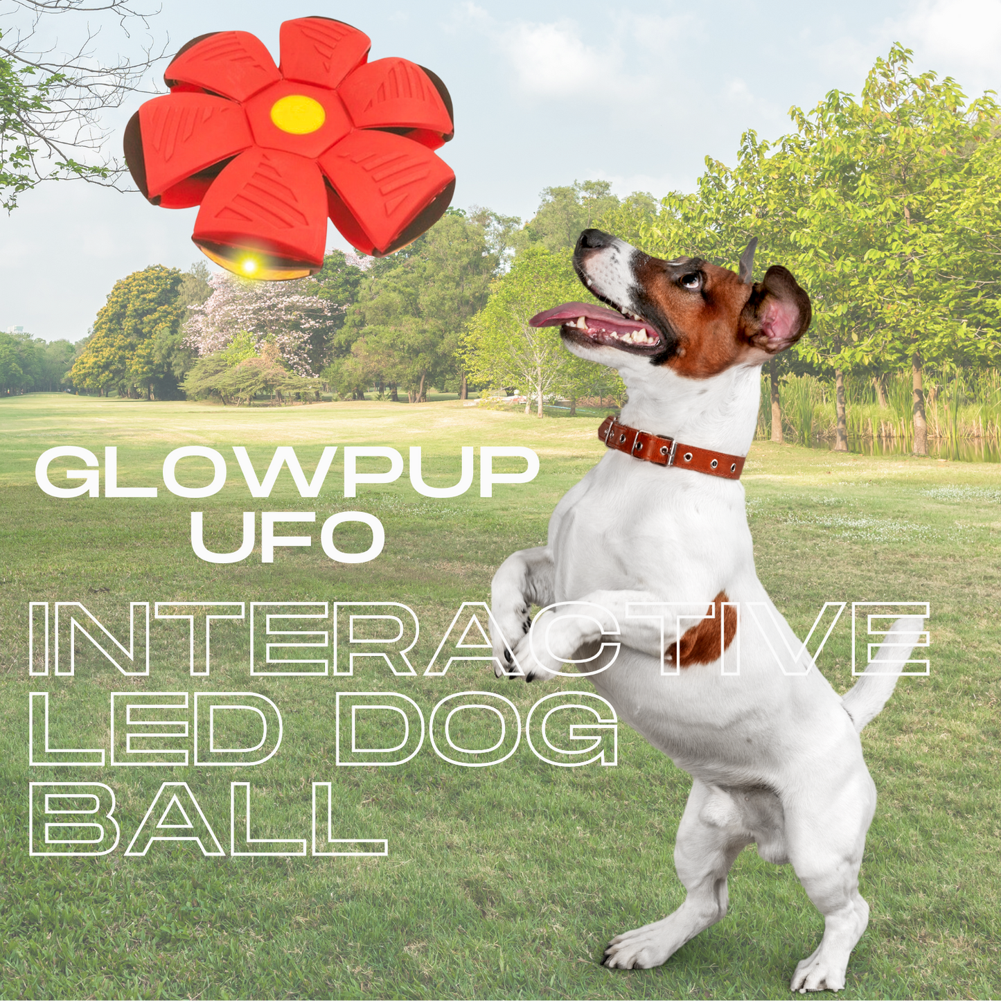 GlowPup UFO - Interactive LED Dog Ball