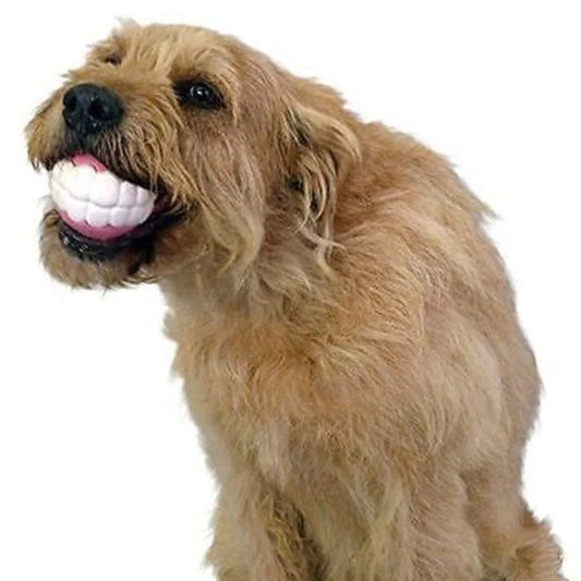 Premium Silicone Chew Toys: Pet Ball Teeth for Large Breeds